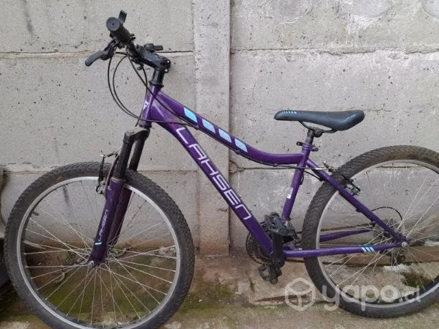 Bicicleta - Imagen 2