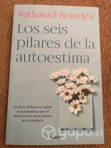 Los seis pilares de la autoestima