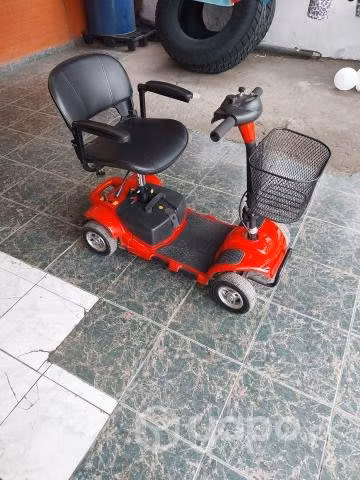 Carro electrico