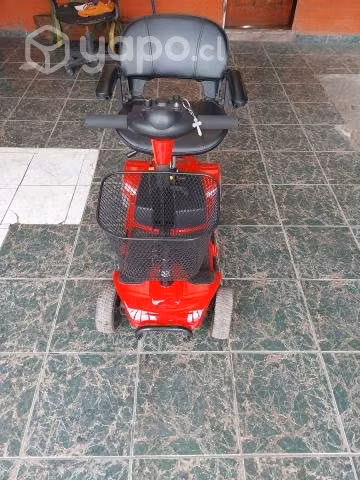 Carro electrico