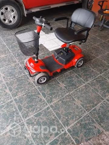 Carro electrico