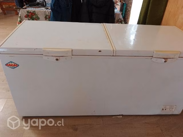 Congeladora 600 litros