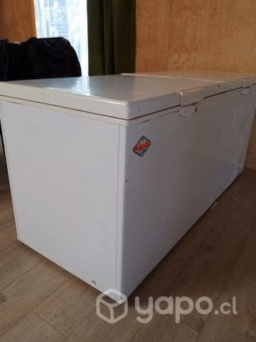Congeladora 600 litros