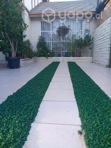 Gravilla de colores
