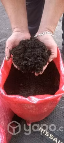 Tierra de hojas abono