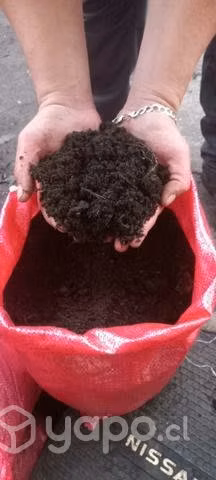 Tierra de hojas abono