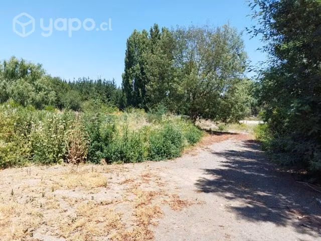 Terreno libuy
