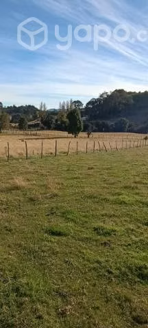 Vendo terreno en Quinched - Imagen 4