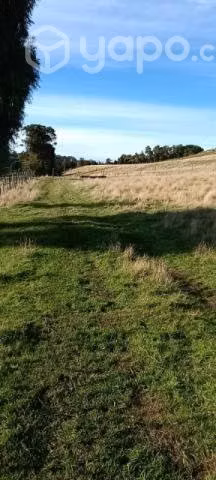 Vendo terreno en Quinched - Imagen 2