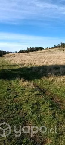 Vendo terreno en Quinched - Imagen 3