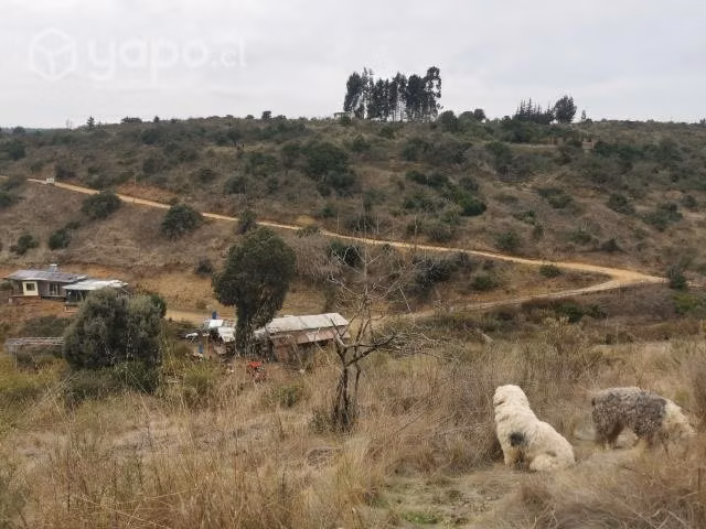 Parcela, sustentable, lugar tranquilo y natural