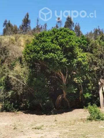 Parcela, sustentable, lugar tranquilo y natural