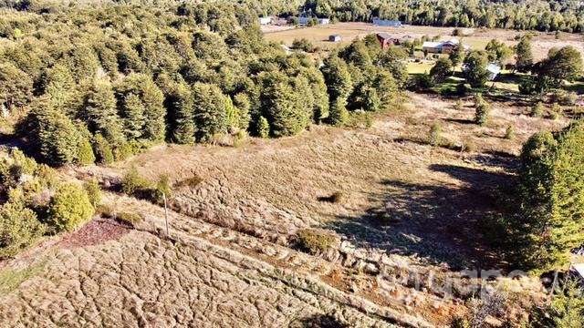 Increíble Parcela 5000 mt2 a 12 km de pto varas - Imagen 3