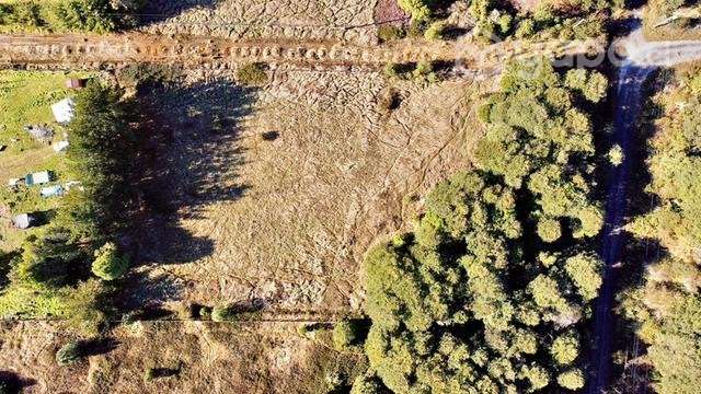 Increíble Parcela 5000 mt2 a 12 km de pto varas - Imagen 5