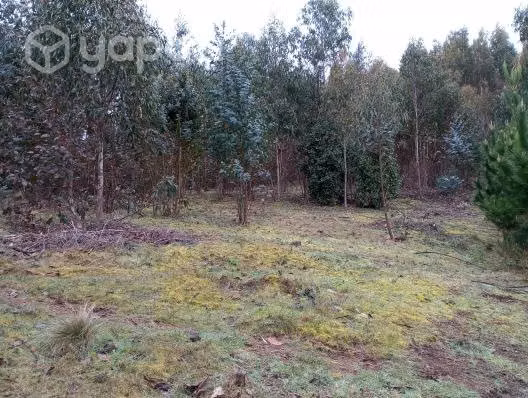 Terreno de 4 hectareas