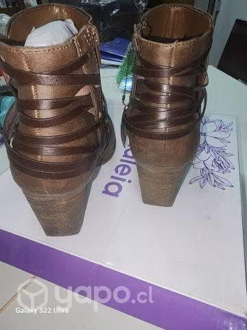 Botin azaleia - Imagen 3