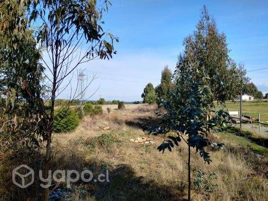 Vendo terreno plano 10400 mts.2 - Imagen 3