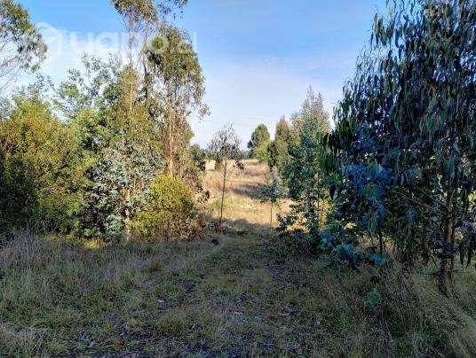 Vendo terreno plano 10400 mts.2 - Imagen 2
