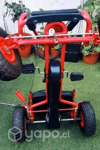 Go kart niño