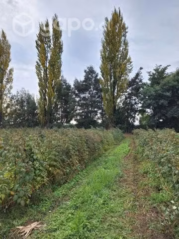 Parcela 7200mts