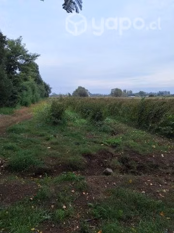 Parcela 7200mts