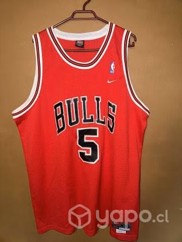 Chicago Bull