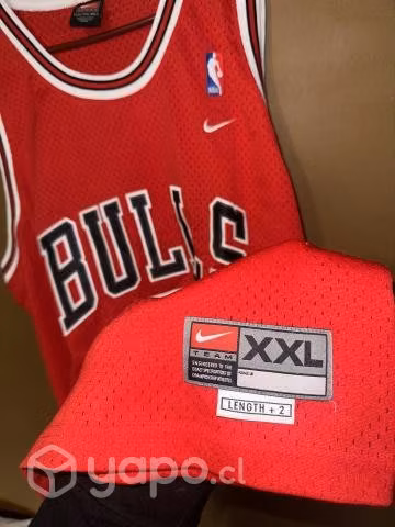Chicago Bull