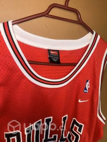 Chicago Bull