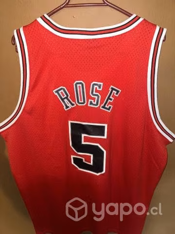 Chicago Bull