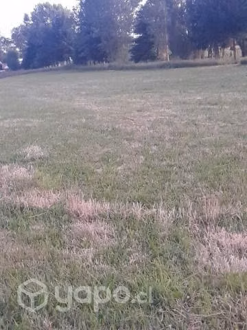Parcela