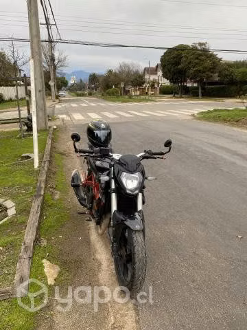 Benelli Tnt 25N