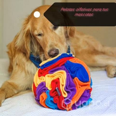 Ropa para mascotas