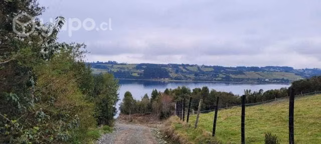 Se Vende Terreno Con Bosque Nativo En Isla Puluqui