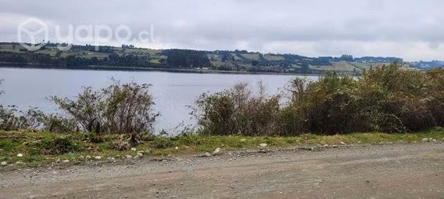 Se Vende Terreno Con Bosque Nativo En Isla Puluqui