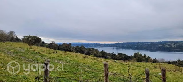 Se Vende Terreno Con Bosque Nativo En Isla Puluqui