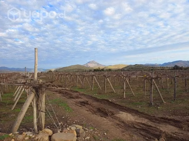 Parcela con agua en Punitaqui