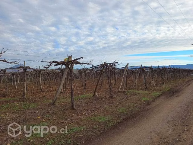 Parcela con agua en Punitaqui
