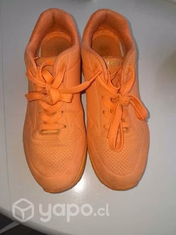 Zapatilla 37
