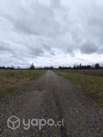 Parcela de agrado - San Carlos, Ñuble