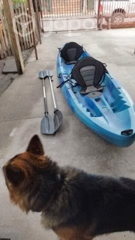 Kayak