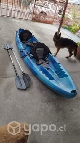 Kayak