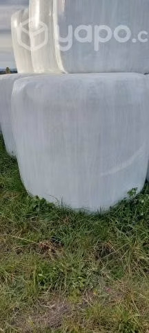 Bolos de silos