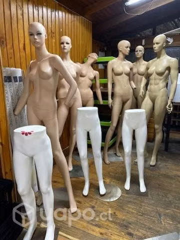 Maniquies