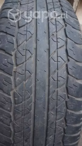 Nuematicos Dunlop 16