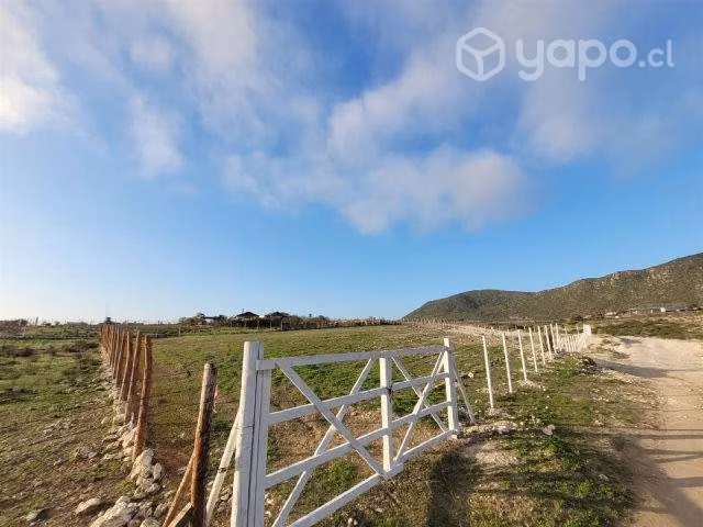 Sitio EL PANUL Coquimbo