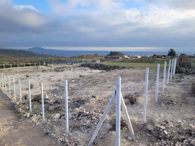 Sitio EL PANUL Coquimbo - Imagen 16