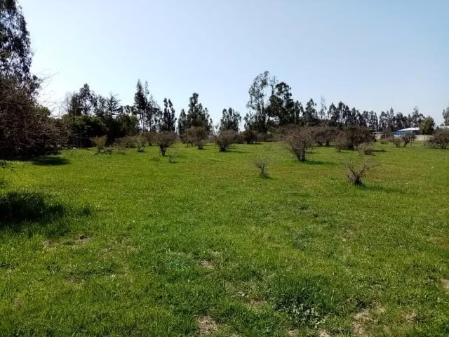 Parcela CATAPILCO