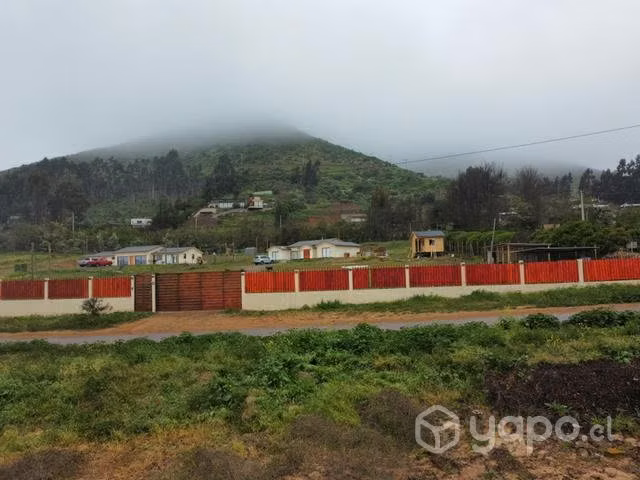 Terreno