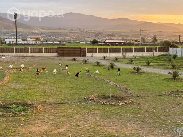 Terreno