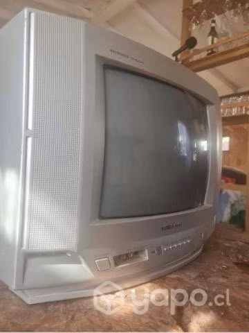 TV